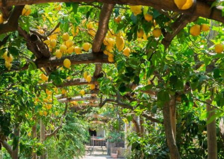 z3858225265832_b868c752bc0366e54123f6fd8fd8cf1d